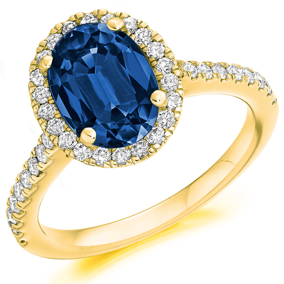 yellow/ENG4319 BSAD