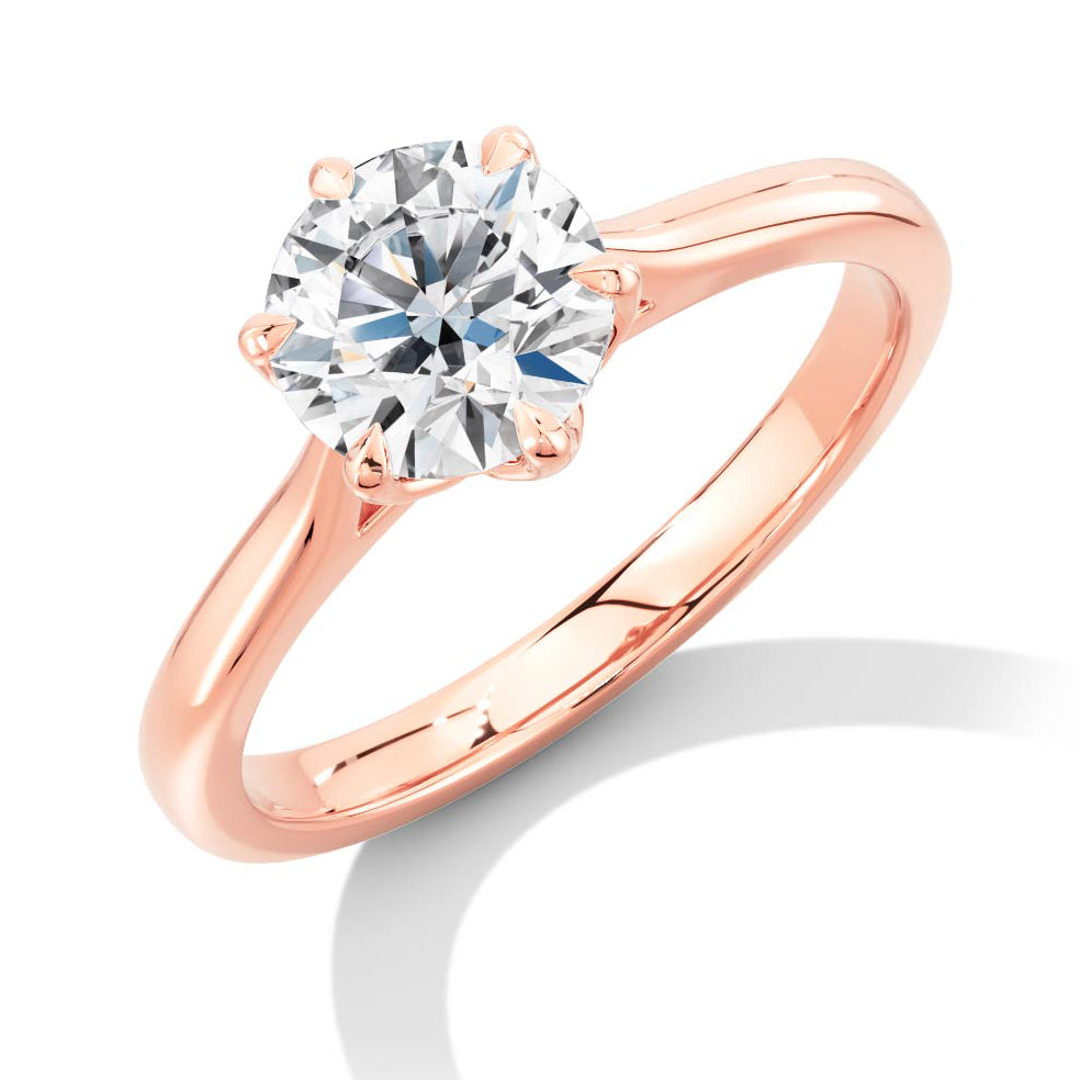 rose/ENG38362 MT