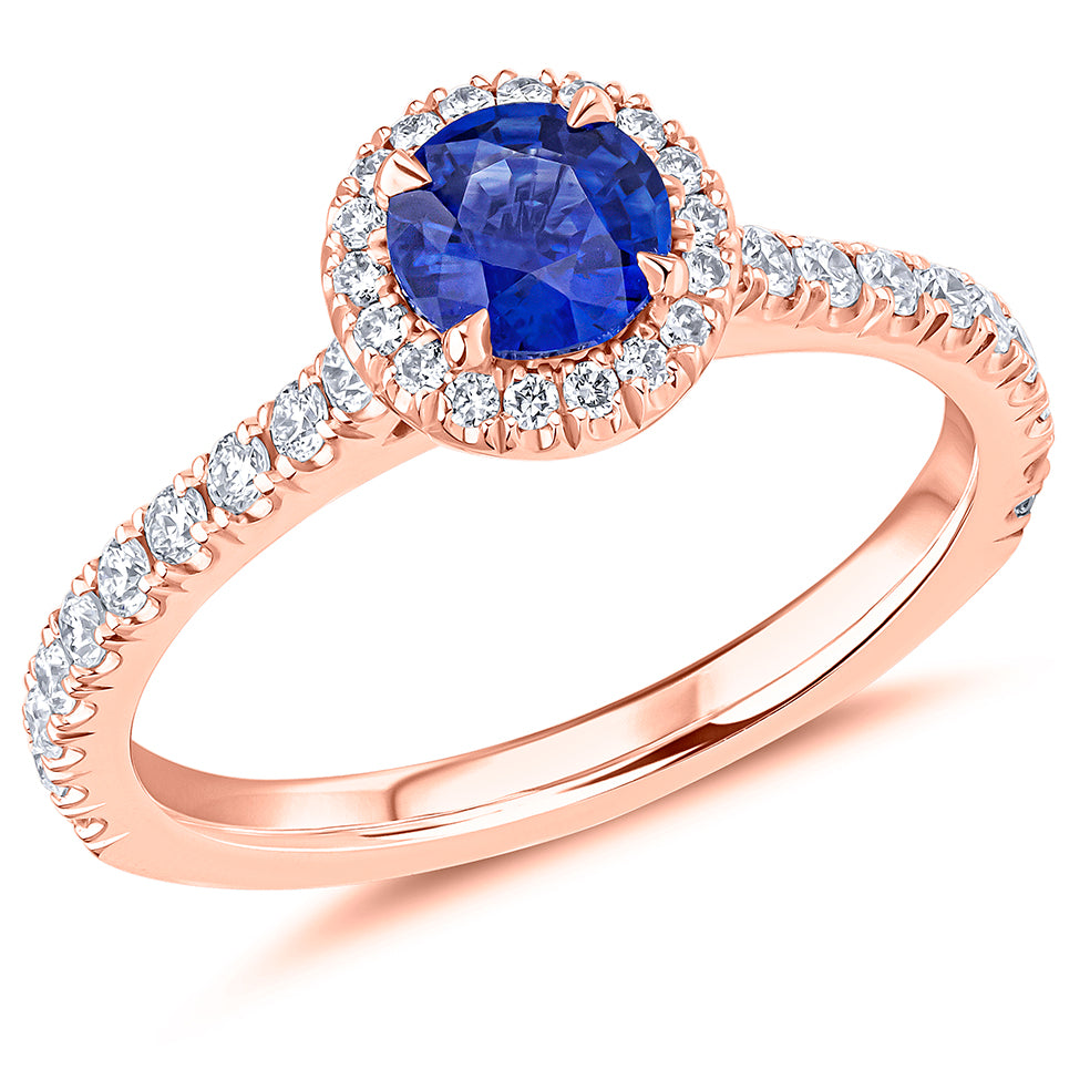 rose/ENG90024 BSAD